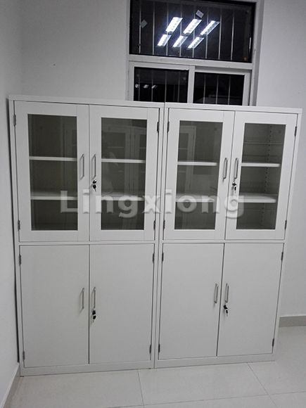 Medical Cupboard/Sample Cabinet/Reagent Cabinet
